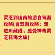 灵芝到山南旅游自驾游攻略(自驾游攻略：走进川藏线，感受神奇灵芝花海之旅)