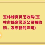 玉林蜂窝灵芝收购(玉林市蜂窝灵芝公司被收购，发布新的声明)