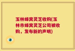 玉林蜂窝灵芝收购(玉林市蜂窝灵芝公司被收购，发布新的声明)