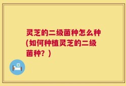 灵芝的二级菌种怎么种(如何种植灵芝的二级菌种？)