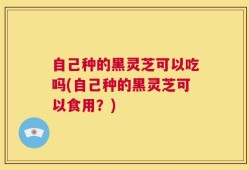 自己种的黑灵芝可以吃吗(自己种的黑灵芝可以食用？)
