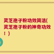 灵芝孢子粉功效简洁(灵芝孢子粉的神奇功效！)
