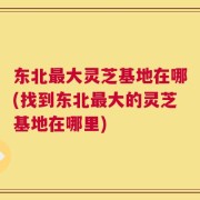 东北最大灵芝基地在哪(找到东北最大的灵芝基地在哪里)