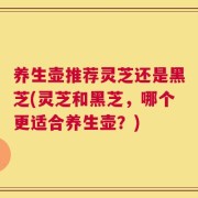 养生壶推荐灵芝还是黑芝(灵芝和黑芝，哪个更适合养生壶？)