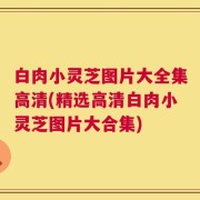 白肉小灵芝图片大全集高清(精选高清白肉小灵芝图片大合集)