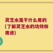 灵芝水是干什么用的 (了解灵芝水的功效和用途)