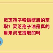 灵芝孢子粉破壁后的萃取？灵芝孢子油是真的用来灵芝提取的吗