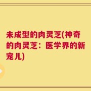 未成型的肉灵芝(神奇的肉灵芝：医学界的新宠儿)