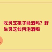 吃灵芝孢子能酒吗？野生灵芝如何泡酒喝