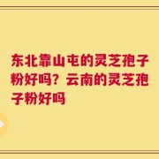 东北靠山屯的灵芝孢子粉好吗？云南的灵芝孢子粉好吗