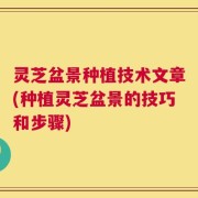 灵芝盆景种植技术文章(种植灵芝盆景的技巧和步骤)