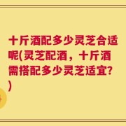 十斤酒配多少灵芝合适呢(灵芝配酒，十斤酒需搭配多少灵芝适宜？)