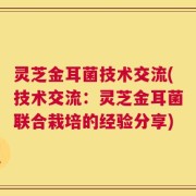 灵芝金耳菌技术交流(技术交流：灵芝金耳菌联合栽培的经验分享)
