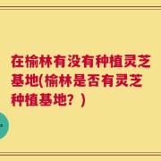 在榆林有没有种植灵芝基地(榆林是否有灵芝种植基地？)