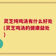 灵芝炖鸡汤有什么好处(灵芝鸡汤的健康益处)