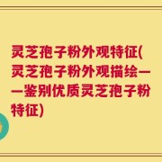 灵芝孢子粉外观特征(灵芝孢子粉外观描绘——鉴别优质灵芝孢子粉特征)