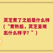 灵芝煮了之后是什么样(“煮熟后，灵芝呈现出什么样子？”)