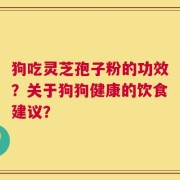 狗吃灵芝孢子粉的功效？关于狗狗健康的饮食建议？