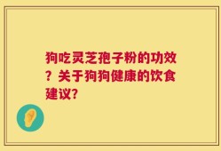 狗吃灵芝孢子粉的功效？关于狗狗健康的饮食建议？