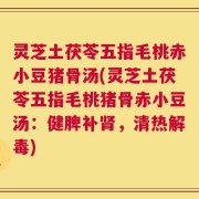 灵芝土茯苓五指毛桃赤小豆猪骨汤(灵芝土茯苓五指毛桃猪骨赤小豆汤：健脾补肾，清热解毒)