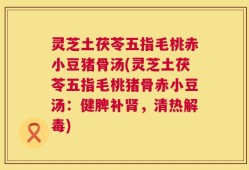 灵芝土茯苓五指毛桃赤小豆猪骨汤(灵芝土茯苓五指毛桃猪骨赤小豆汤：健脾补肾，清热解毒)