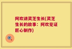 阿欢讲灵芝生长(灵芝生长的故事：阿欢见证匠心制作)