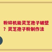 粉碎机能灵芝孢子破壁？灵芝孢子粉制作法