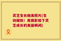 灵芝生长精美照片(生动细致！用摄影拍下灵芝成长的美丽瞬间)