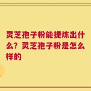 灵芝孢子粉能提炼出什么？灵芝孢子粉是怎么样的
