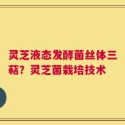 灵芝液态发酵菌丝体三萜？灵芝菌栽培技术