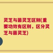 灵芝与菌灵芝区别(重要功效有区别，区分灵芝与菌灵芝)