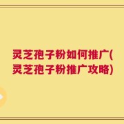 灵芝孢子粉如何推广(灵芝孢子粉推广攻略)