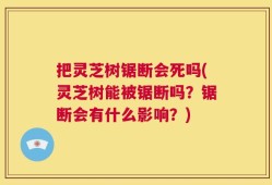 把灵芝树锯断会死吗(灵芝树能被锯断吗？锯断会有什么影响？)