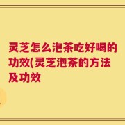 灵芝怎么泡茶吃好喝的功效(灵芝泡茶的方法及功效