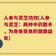 人参与灵芝功效(人参与灵芝：两种中药联手，为身体带来的健康益处)