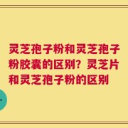 灵芝孢子粉和灵芝孢子粉胶囊的区别？灵芝片和灵芝孢子粉的区别