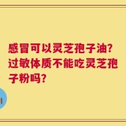 感冒可以灵芝孢子油？过敏体质不能吃灵芝孢子粉吗？