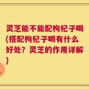 灵芝能不能配枸杞子喝(搭配枸杞子喝有什么好处？灵芝的作用详解)