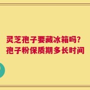 灵芝孢子要藏冰箱吗？孢子粉保质期多长时间