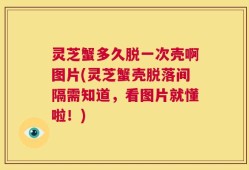 灵芝蟹多久脱一次壳啊图片(灵芝蟹壳脱落间隔需知道，看图片就懂啦！)
