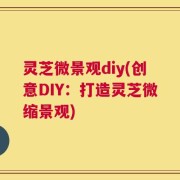 灵芝微景观diy(创意DIY：打造灵芝微缩景观)