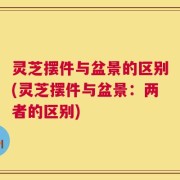 灵芝摆件与盆景的区别(灵芝摆件与盆景：两者的区别)