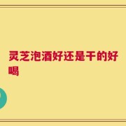 灵芝泡酒好还是干的好喝