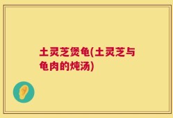 土灵芝煲龟(土灵芝与龟肉的炖汤)