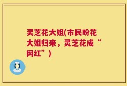 灵芝花大姐(市民盼花大姐归来，灵芝花成“网红”)