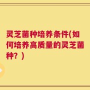 灵芝菌种培养条件(如何培养高质量的灵芝菌种？)