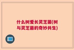 什么树爱长灵芝菌(树与灵芝菌的奇妙共生)