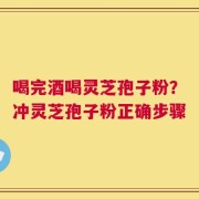 喝完酒喝灵芝孢子粉？冲灵芝孢子粉正确步骤