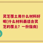 灵芝覆土用什么材料好呢(什么材料最适合灵芝的覆土？一份指南)