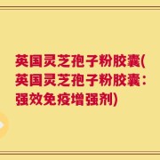英国灵芝孢子粉胶囊(英国灵芝孢子粉胶囊：强效免疫增强剂)